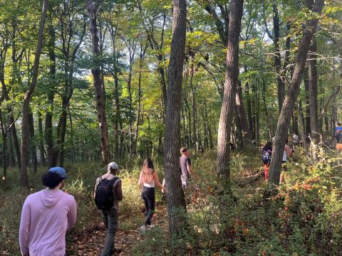 Shay Rabineau Walking Tour 1