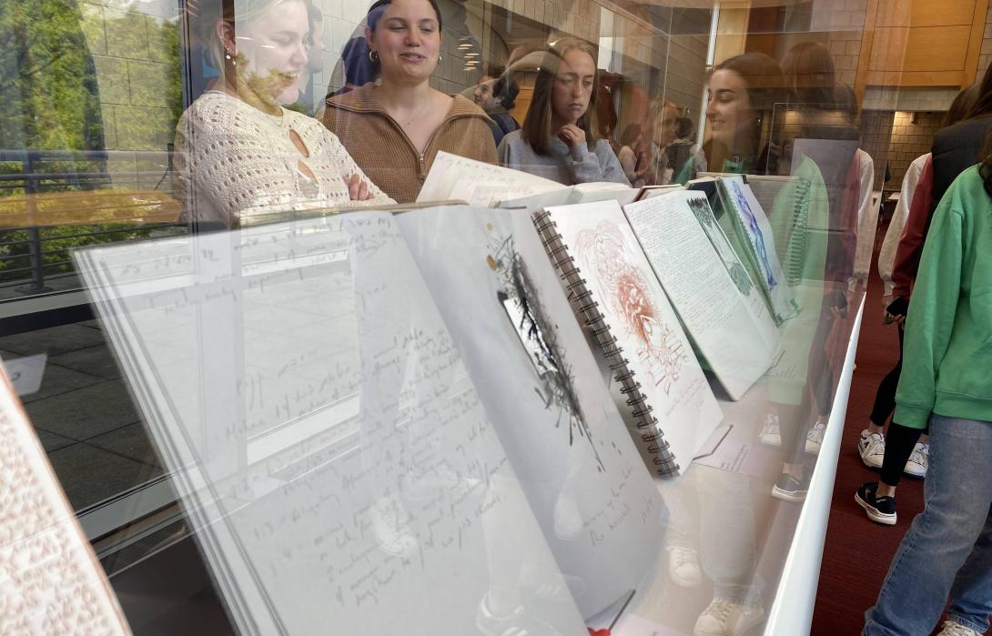 View of illustrated books behind glass